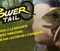 power tail